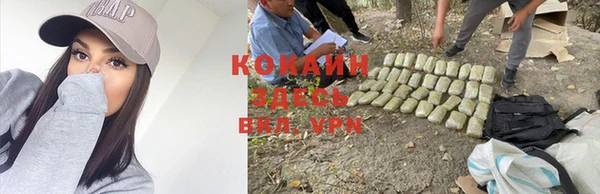 apvp Волосово